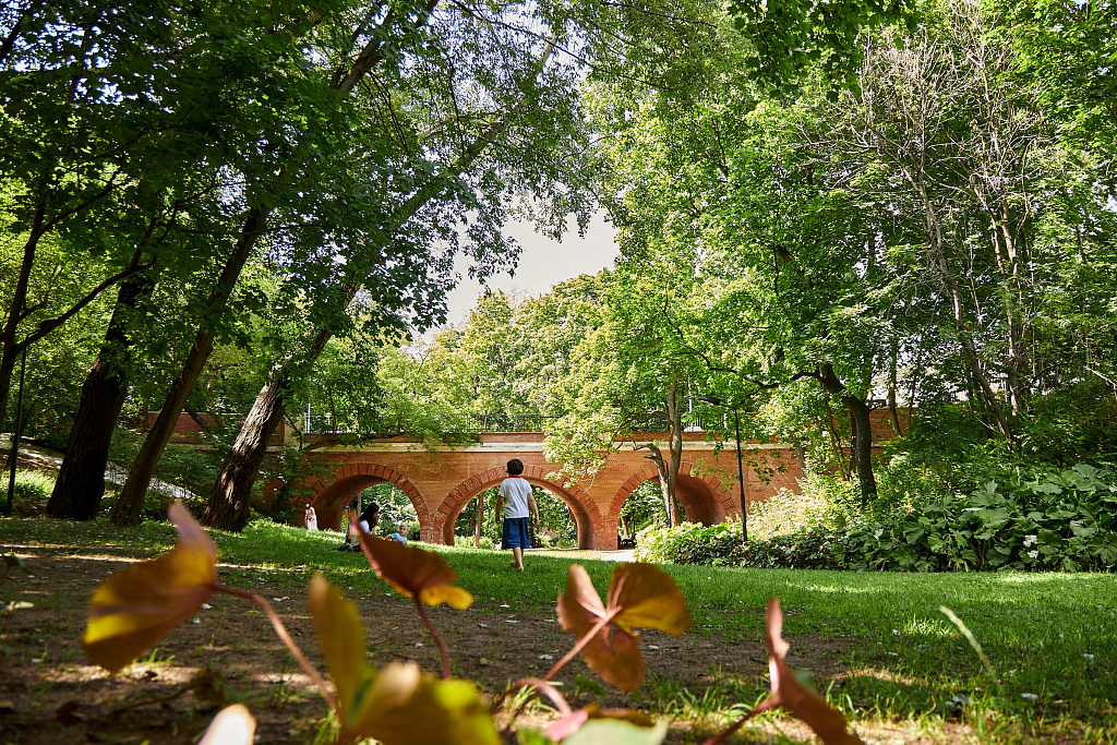 Нескучный Сад. Изображение 3