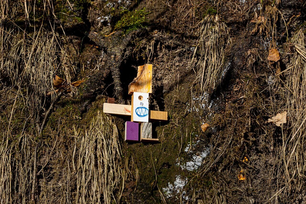 Деревянная школа х Зотов. Изображение 4