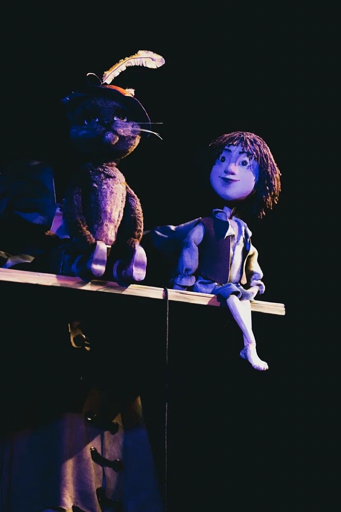 Кот в сапогах (Театр теней). Изображение 1