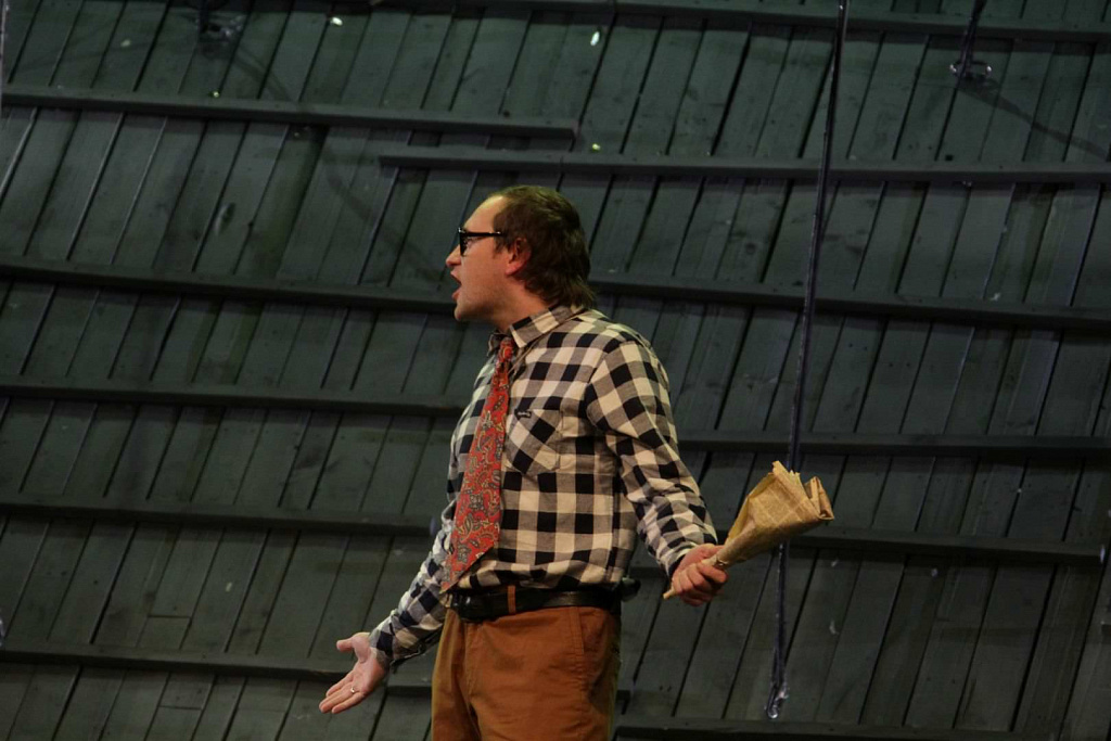 Калина красная. Изображение 4