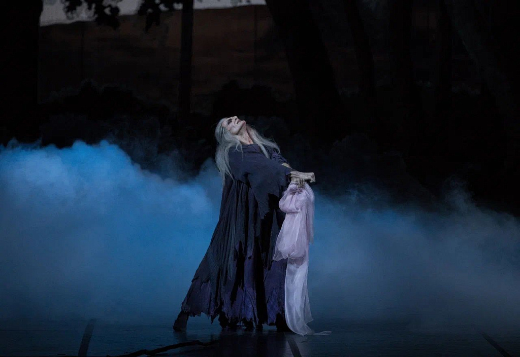 СИЛЬФИДА (МАМТ). Изображение 10