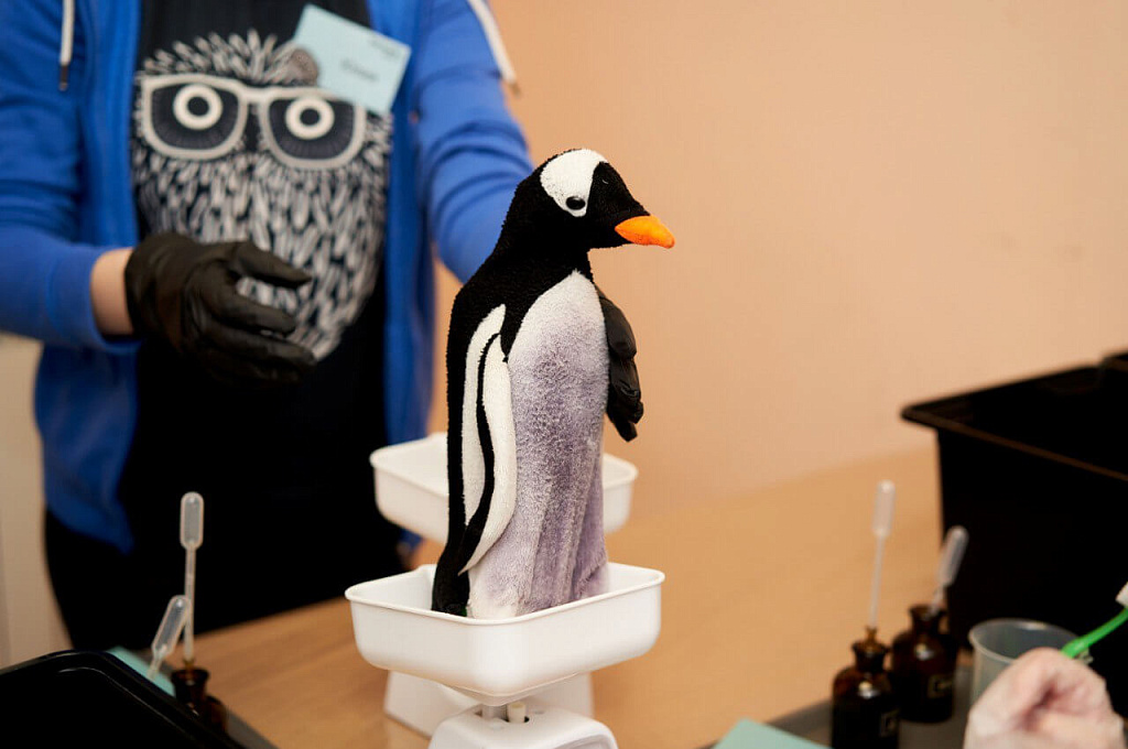 Спасти планету. Изображение 1