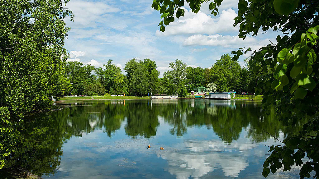 Парк "Останкино". Изображение 4