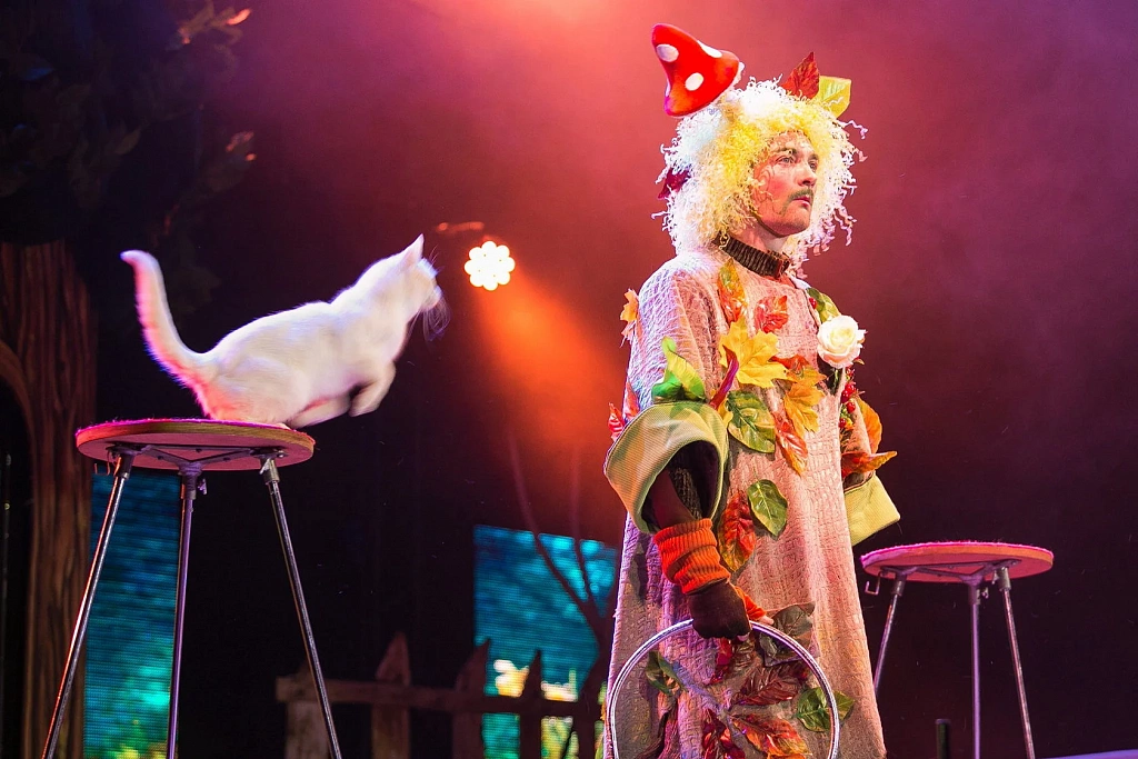 Дед Мороз и Баба Яга спасают Новый Год. Изображение 3