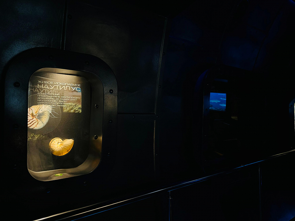 Пройди путем эволюции. Изображение 10