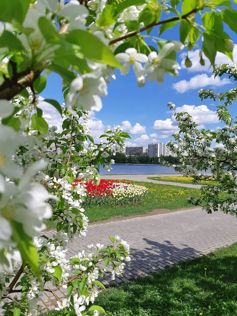 Братеевский каскадный парк. Изображение 1