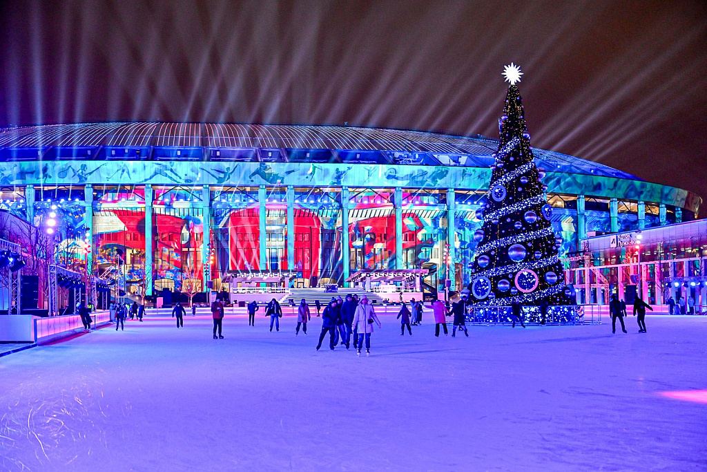 Каток В ЛУЖНИКАХ. Изображение 2