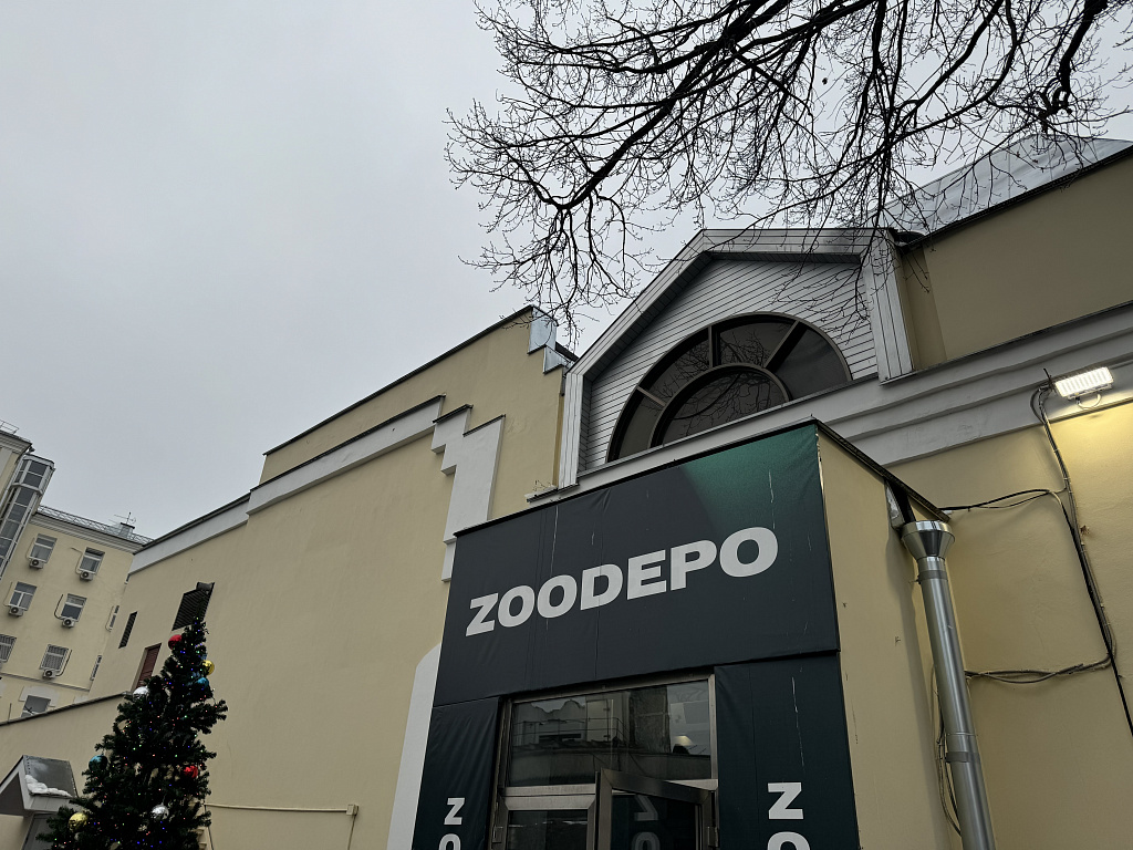 Мультимедийное иммерсивное пространство "ЗООДЕПО". Изображение 1