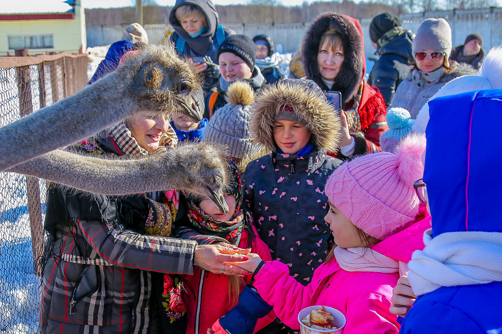 ШИРОКАЯ МАСЛЕНИЦА НА ФЕРМЕ СТРАУСОВ. Изображение 5