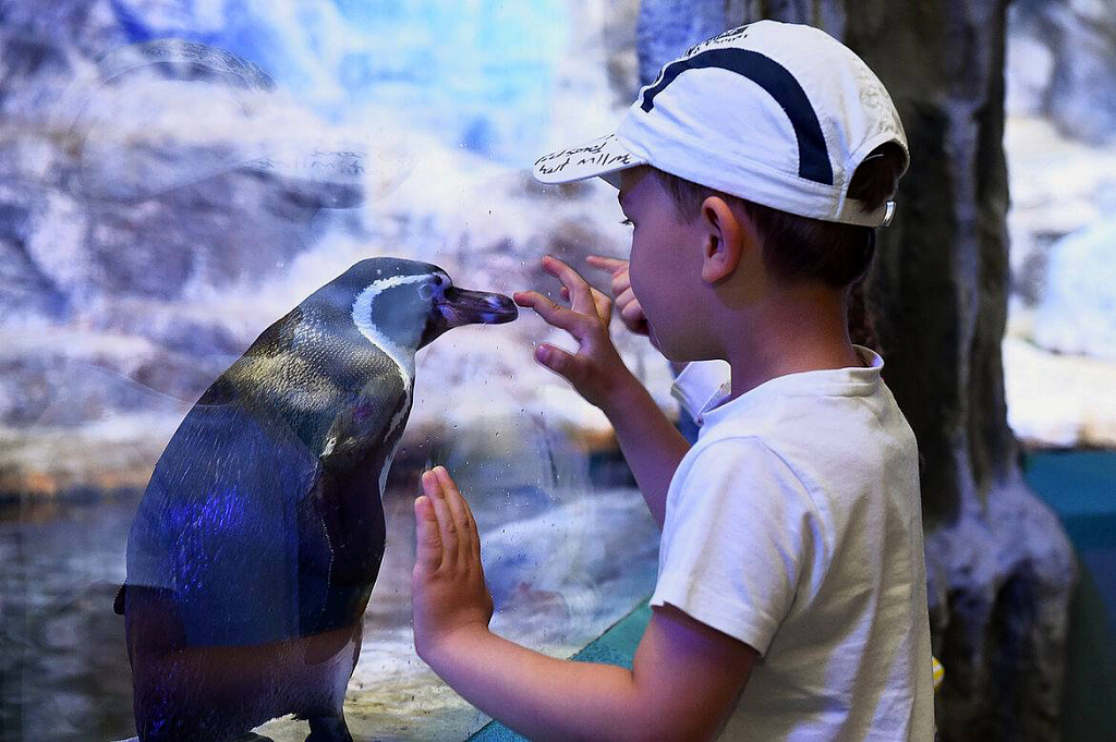 Крокус Сити Океанариум. Изображение 1