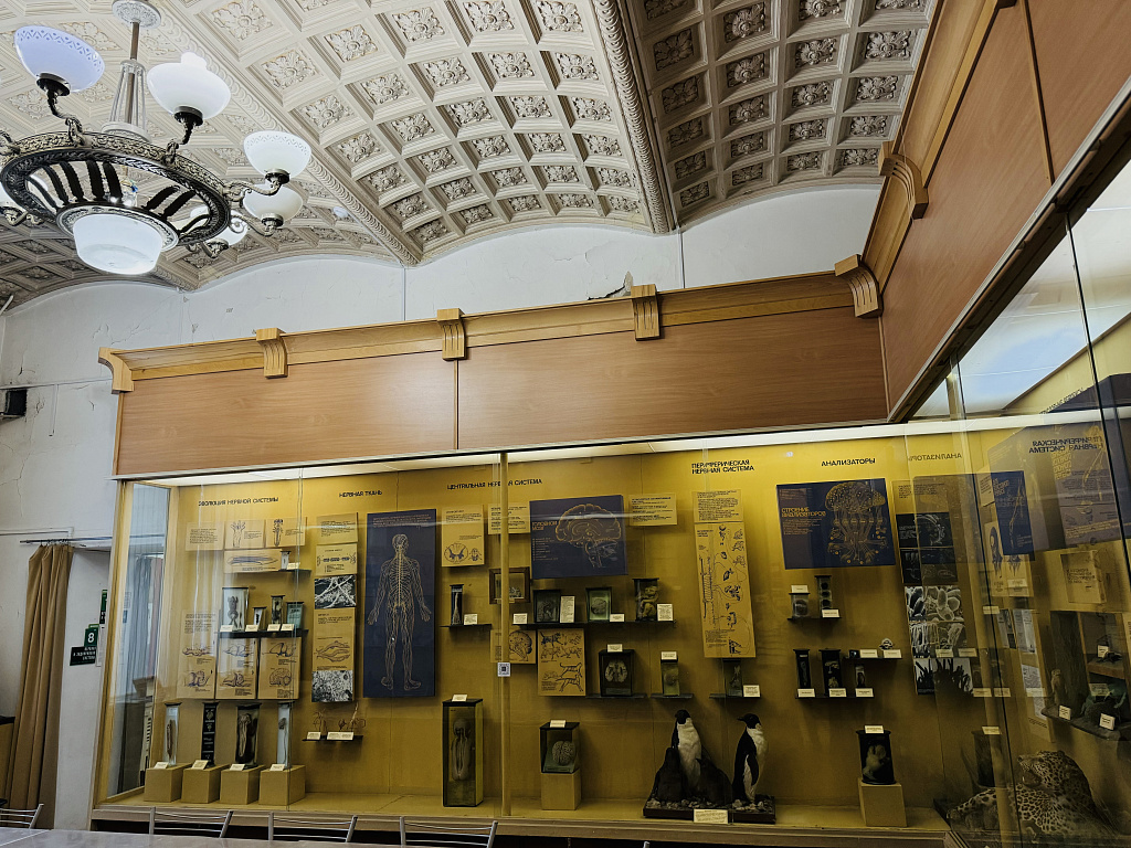 Биологический музей им. К.А. Тимирязева. Изображение 6