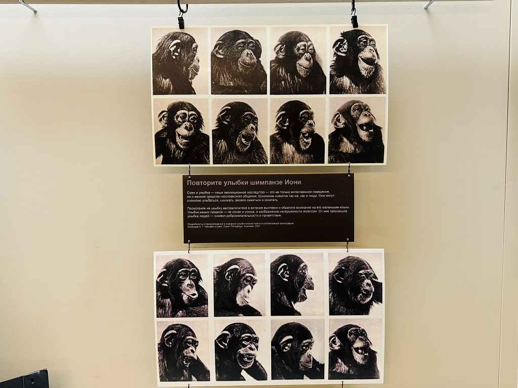 Биологический музей им. К.А. Тимирязева. Изображение 15