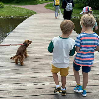 Прогулки с юными натуралистами