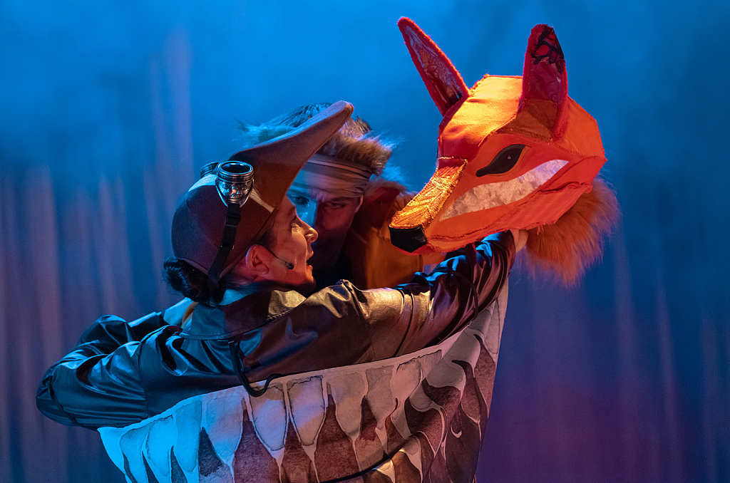 Путешествие Нильса с дикими гусями (МТК). Изображение 9