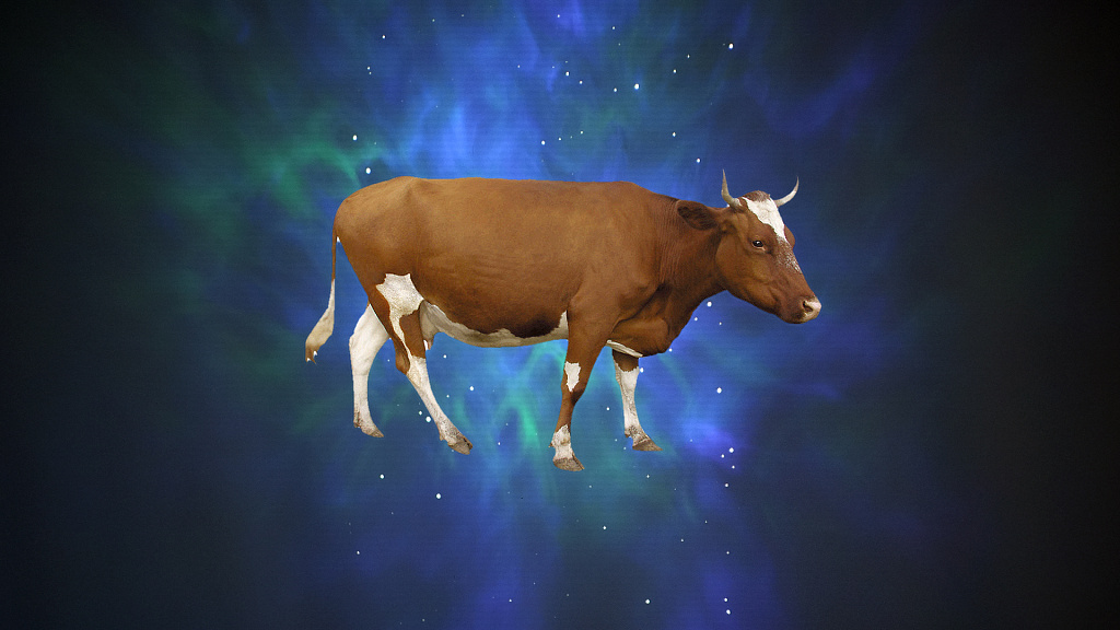 Чудо, или Как корова спасла театр. Изображение 4