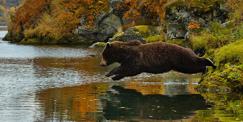 Фестиваль "Первозданная Россия". Изображение 1