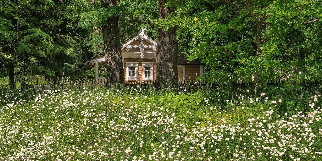 Усадьба "Мураново" им. Ф.И. Тютчева. Изображение 5