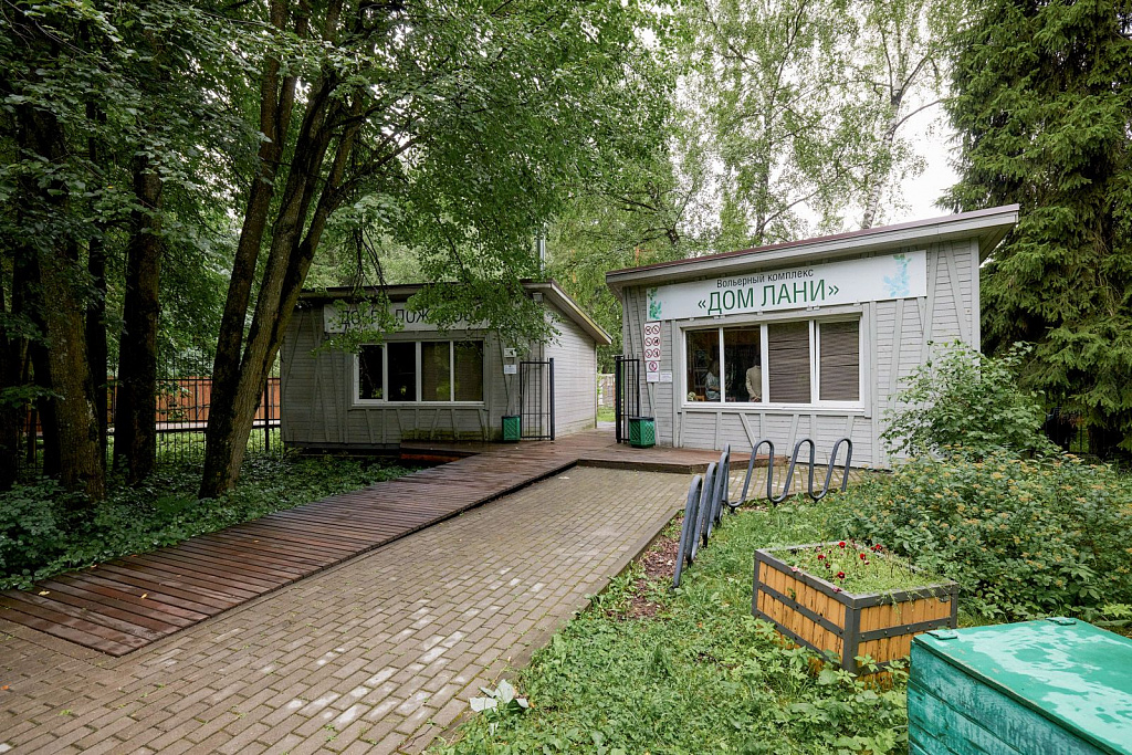 Занятия в экоцентре «Дом Лани». Изображение 2