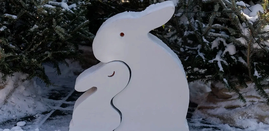 Каток The Rink. Изображение 2