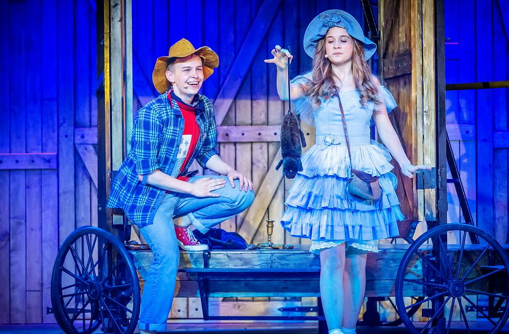 Приключения Тома Сойера (ДМТЮА). Изображение 1