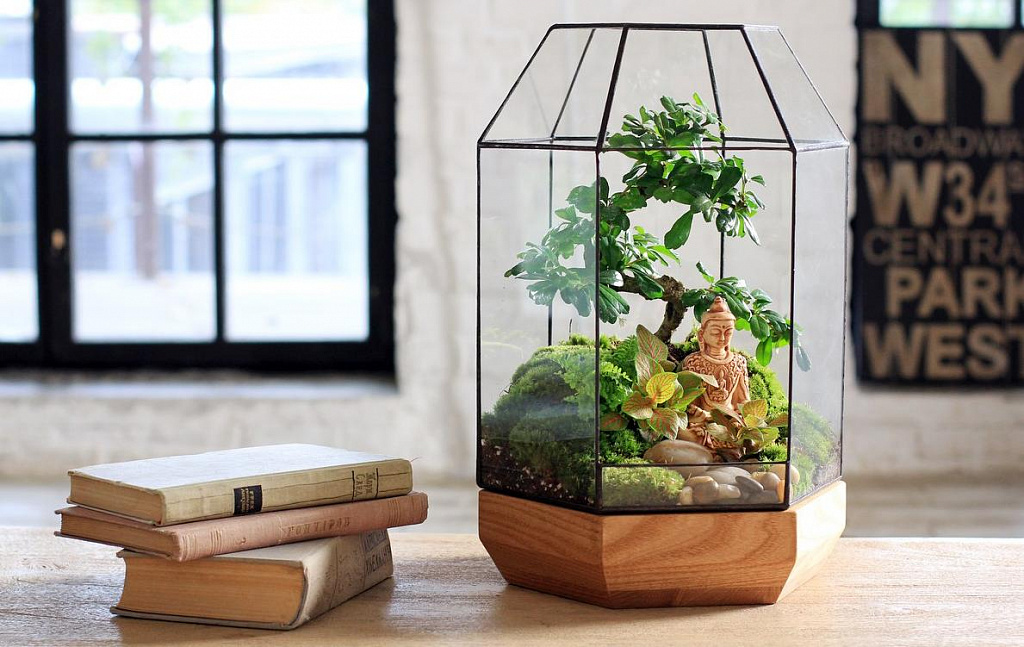 Флорариум. Как все устроено. Изображение 3