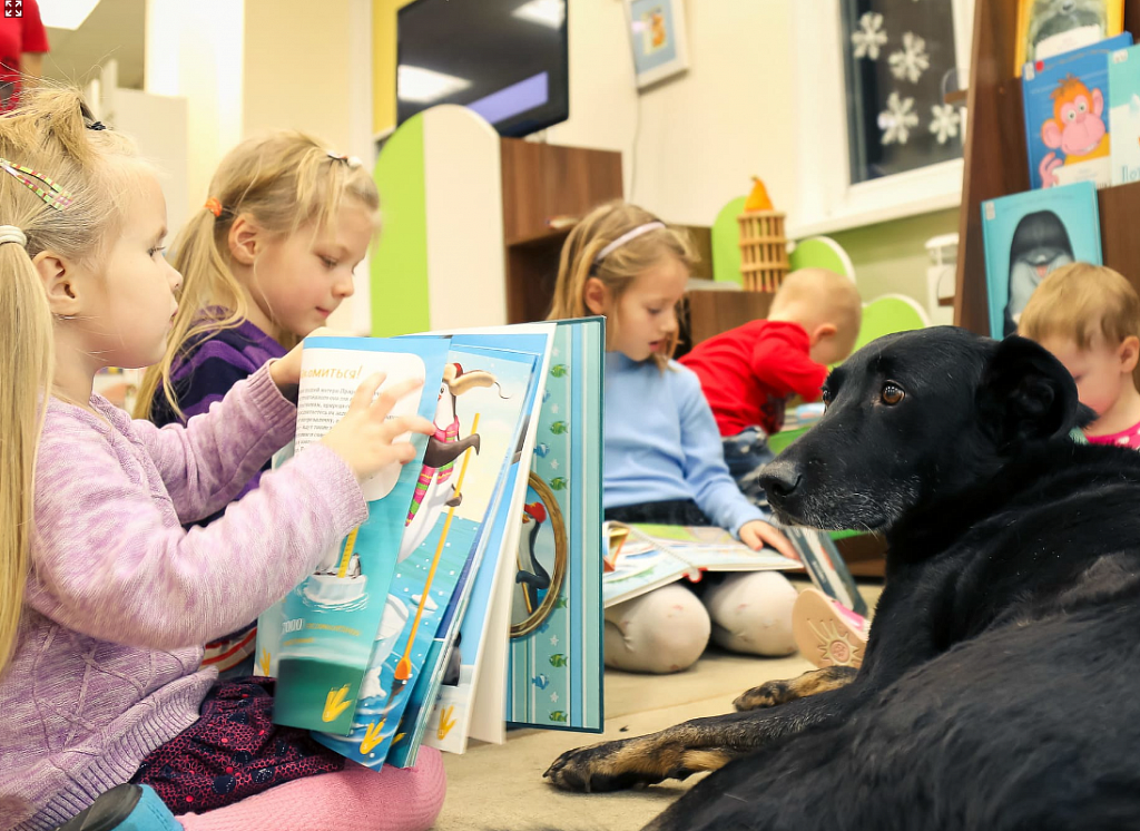 Читаем вместе с собакой. Изображение 2