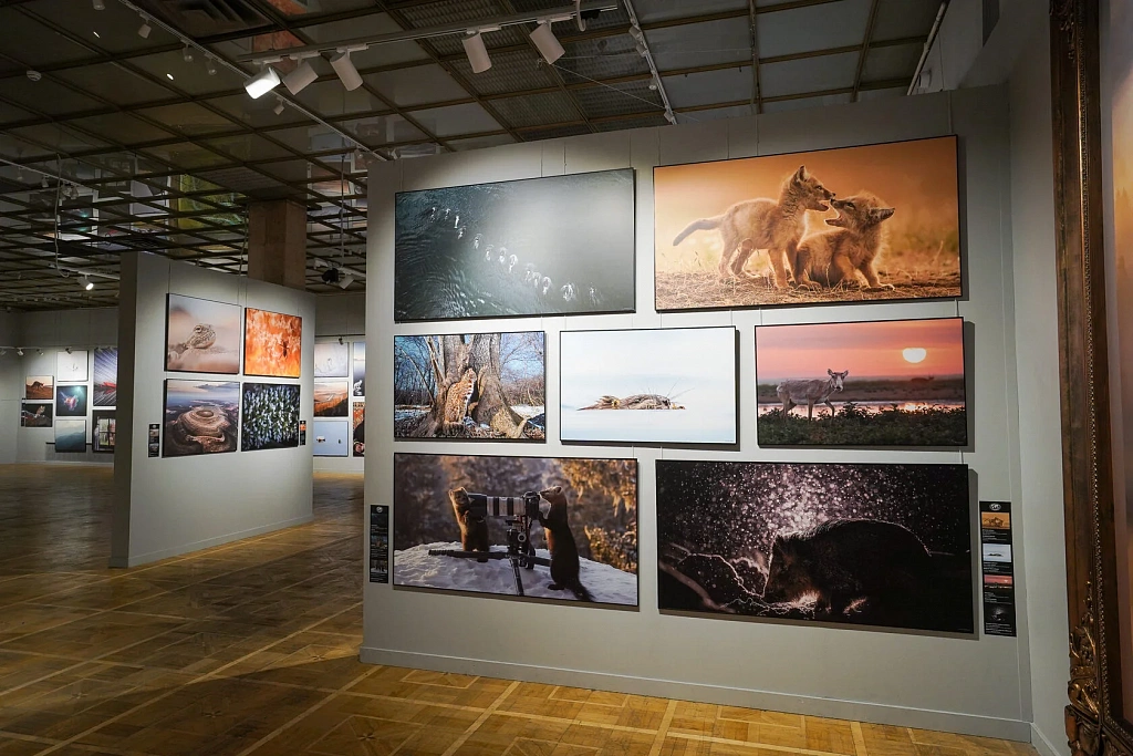 Самая красивая страна. Изображение 5