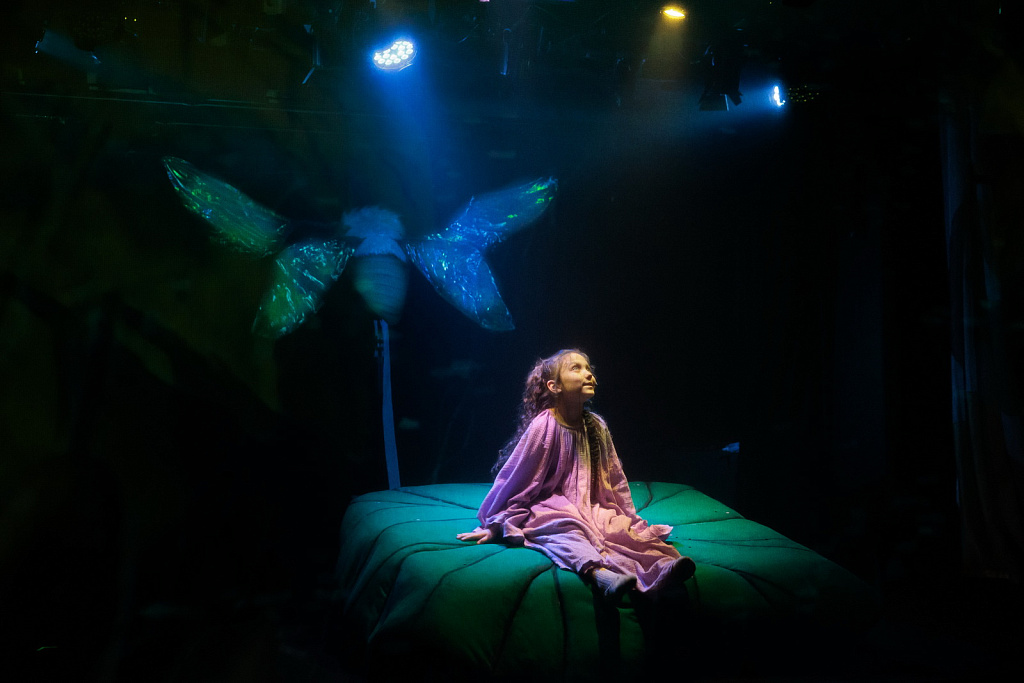 Дюймовочка (ДМТЮА). Изображение 5