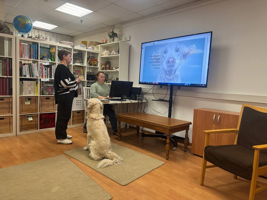 Dog урок. Изображение 1