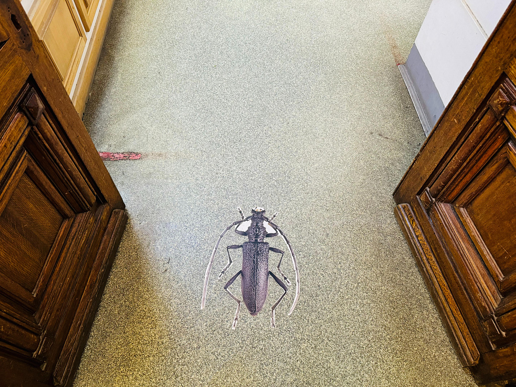 Биологический музей им. К.А. Тимирязева. Изображение 1