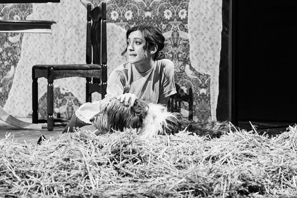 Собачье сердце. Изображение 14