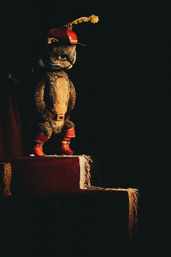 Кот в сапогах (Театр теней). Изображение 3