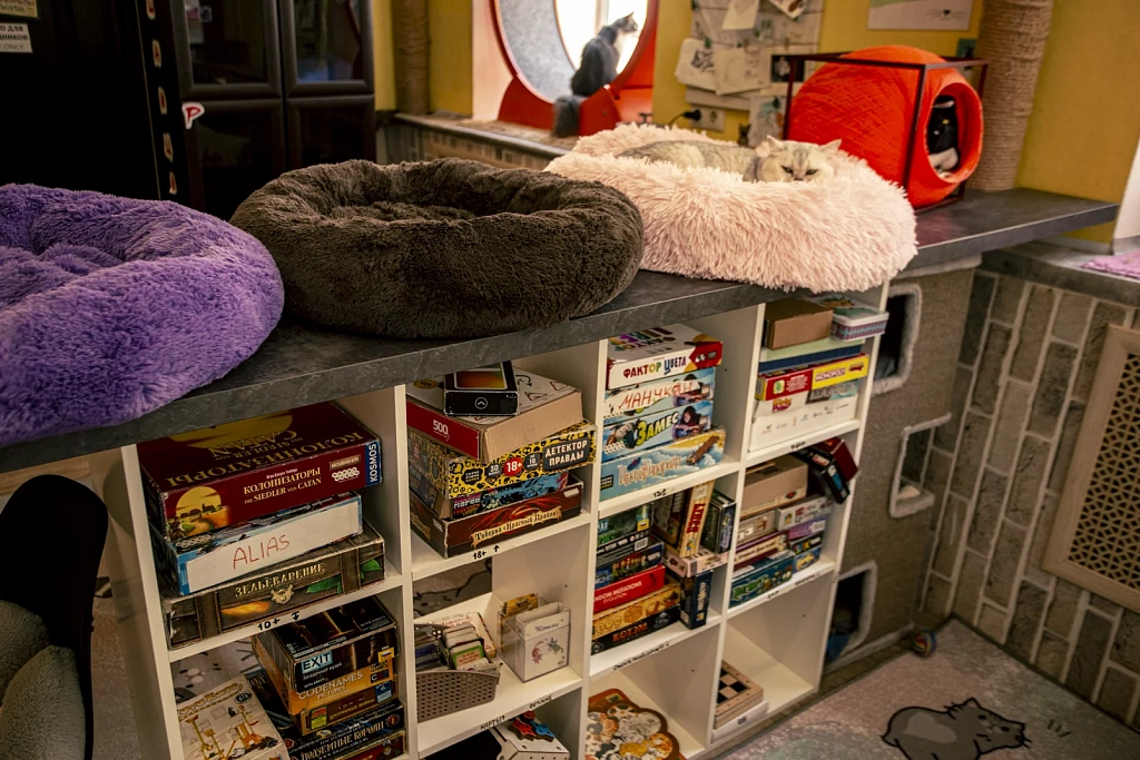 "Котофейня" на Маросейке. Изображение 3