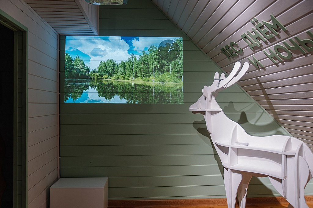 Занятия в экоцентре Лесная сказка. Изображение 2