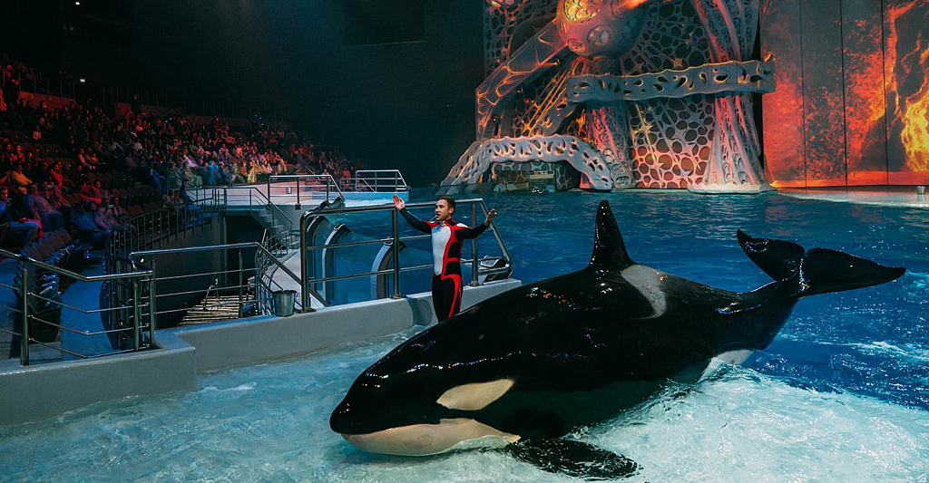 Москвариум - центр океанографии и морской биологии . Изображение 5