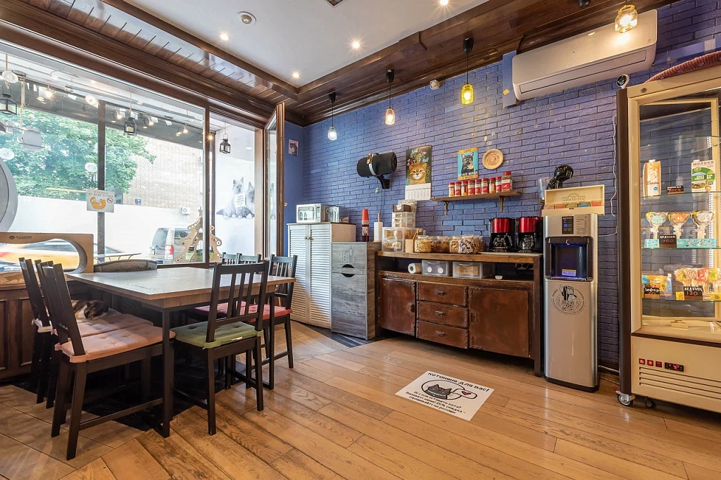 Котокафе "Котики и люди". Изображение 1