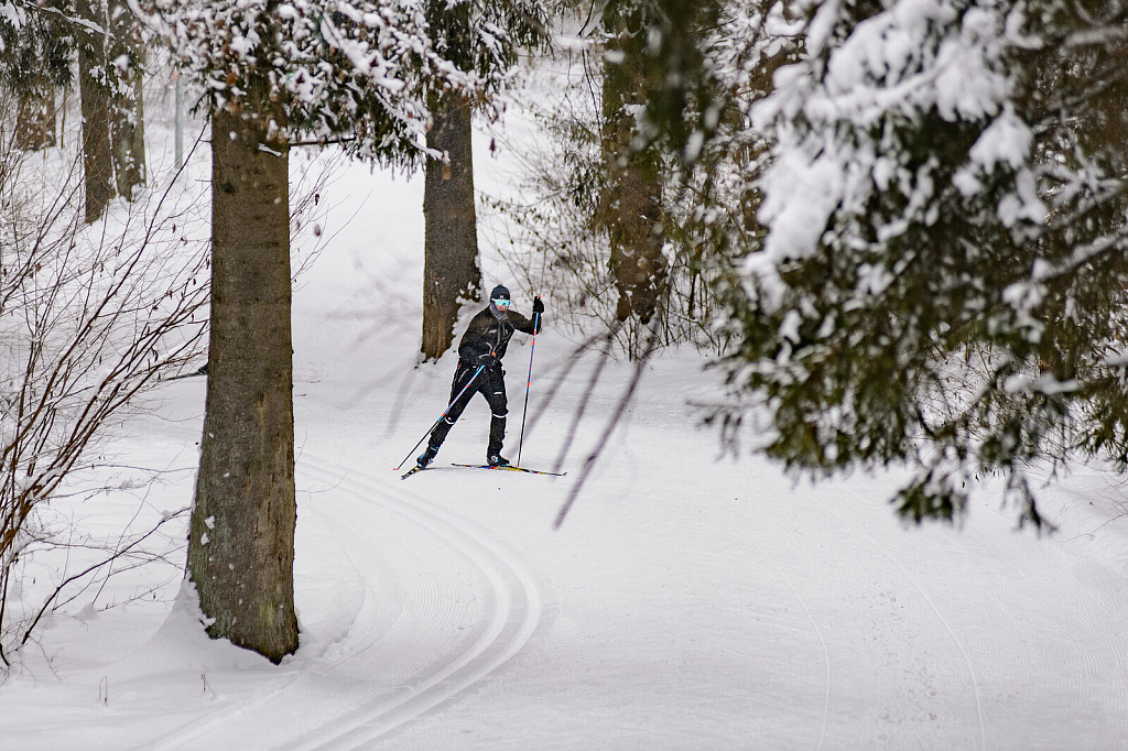 Лыжероллерная трасса Лазутинка. Изображение 2