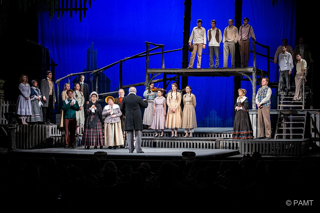 Приключения Тома Сойера. Изображение 6