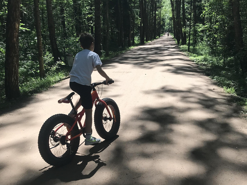 Мещерский парк. Изображение 6