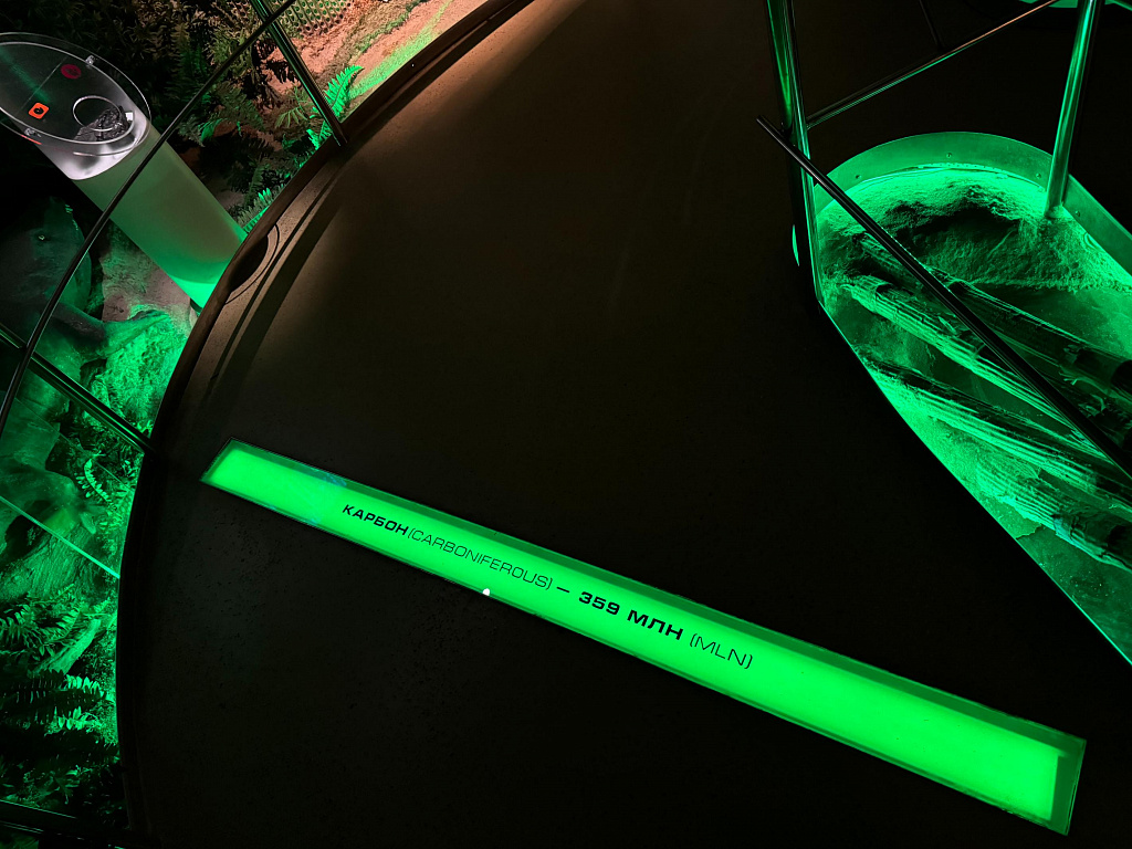 Пройди путем эволюции. Изображение 6