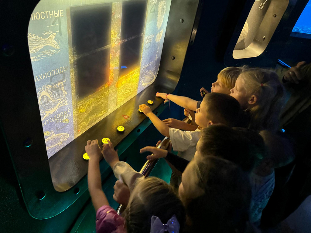 Пройди путем эволюции. Изображение 1