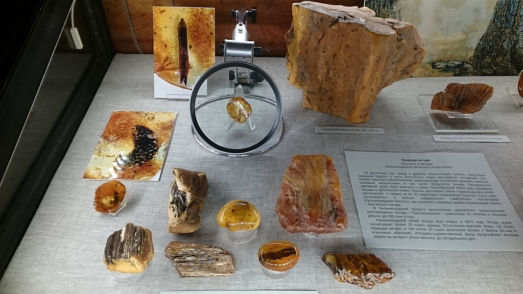 Минералогический музей им. А.Е. Ферсмана РАН. Изображение 6