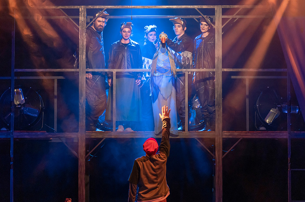 Путешествие Нильса с дикими гусями (МТК). Изображение 1