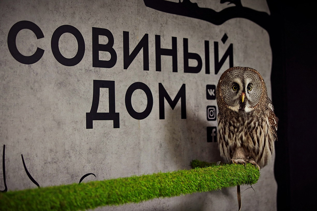 Антикафе "Совиный Дом" на Рижской. Изображение 1