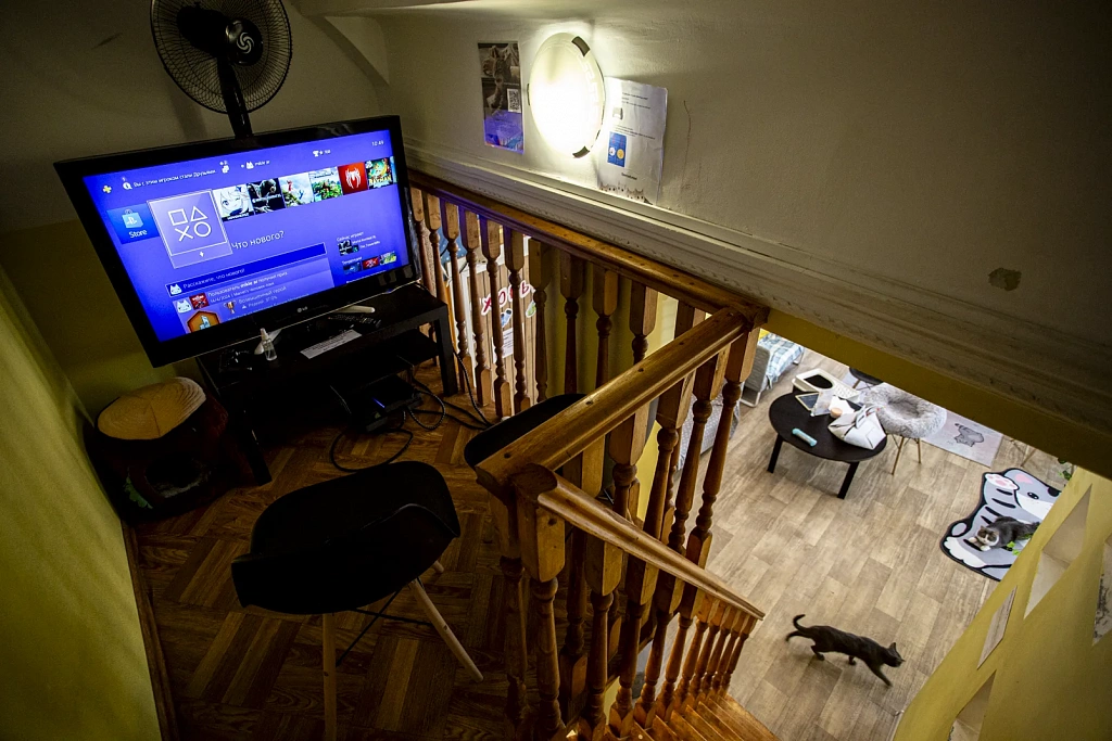 "Котофейня" на Маросейке. Изображение 6