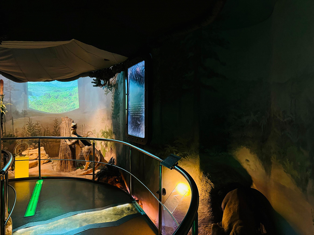 Пройди путем эволюции. Изображение 11