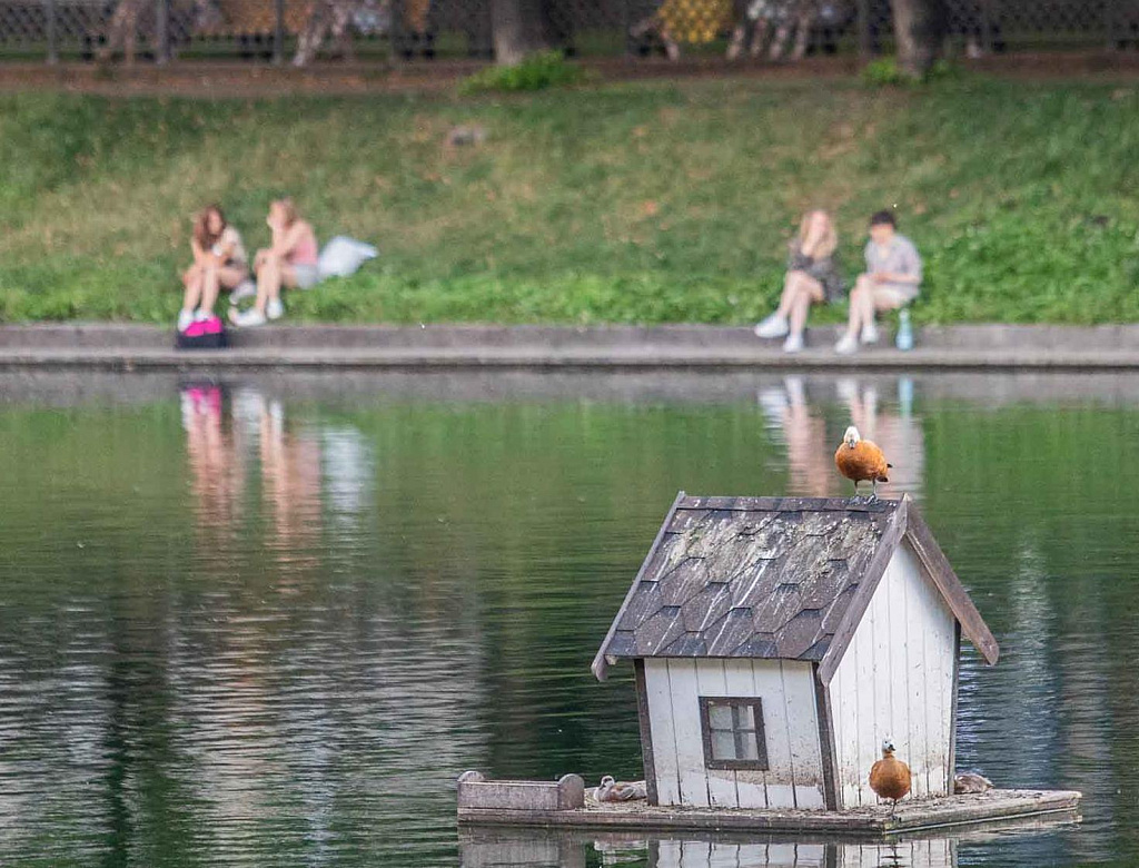 Патриаршие пруды. Изображение 5