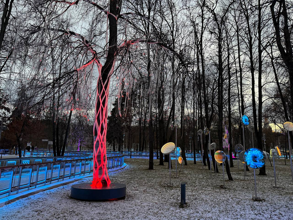 Каток В ЛУЖНИКАХ. Изображение 5