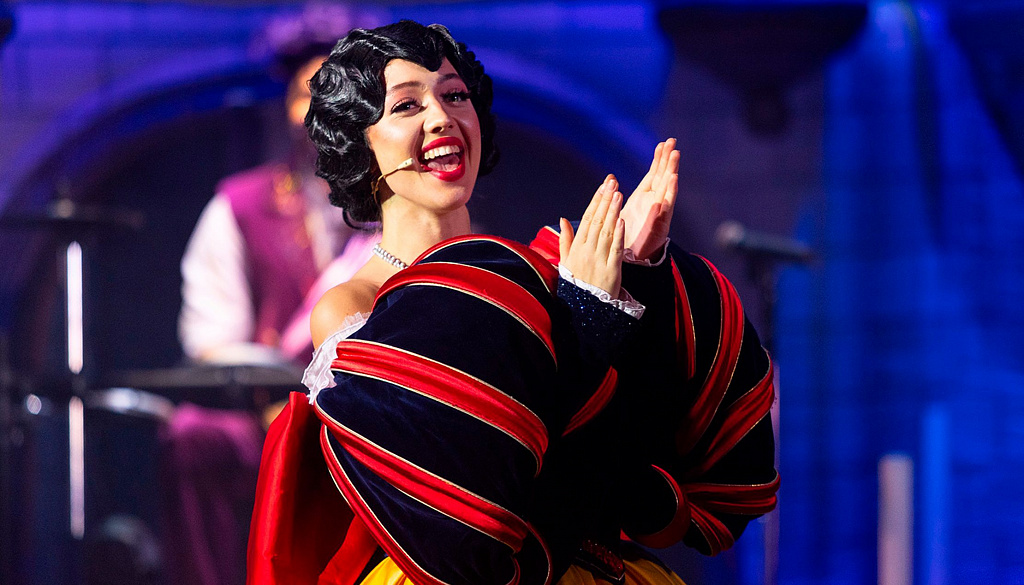 Новогоднее Созвездие. Изображение 5