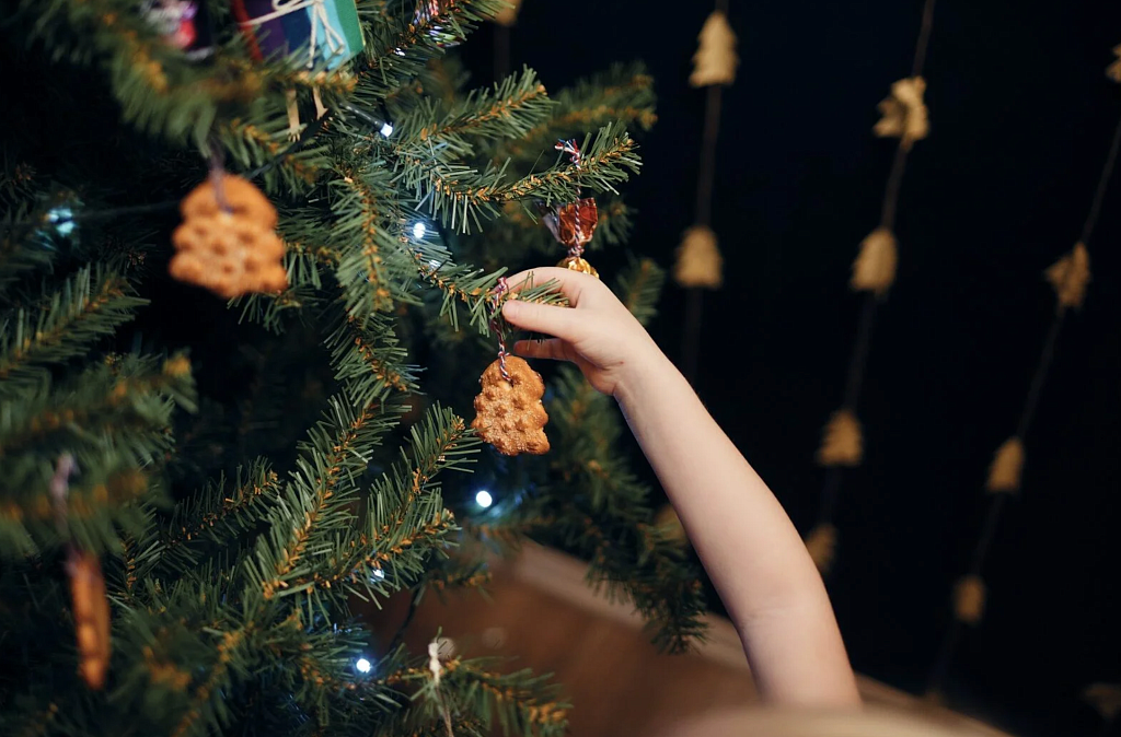 Разграбление Ёлки. Изображение 5